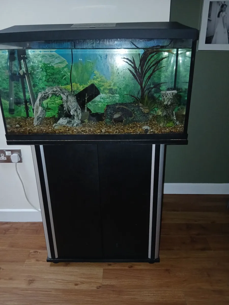 Fish tank - Image 3