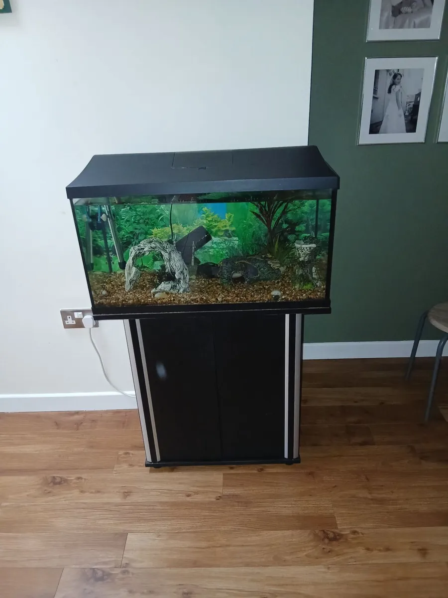 Fish tank - Image 4