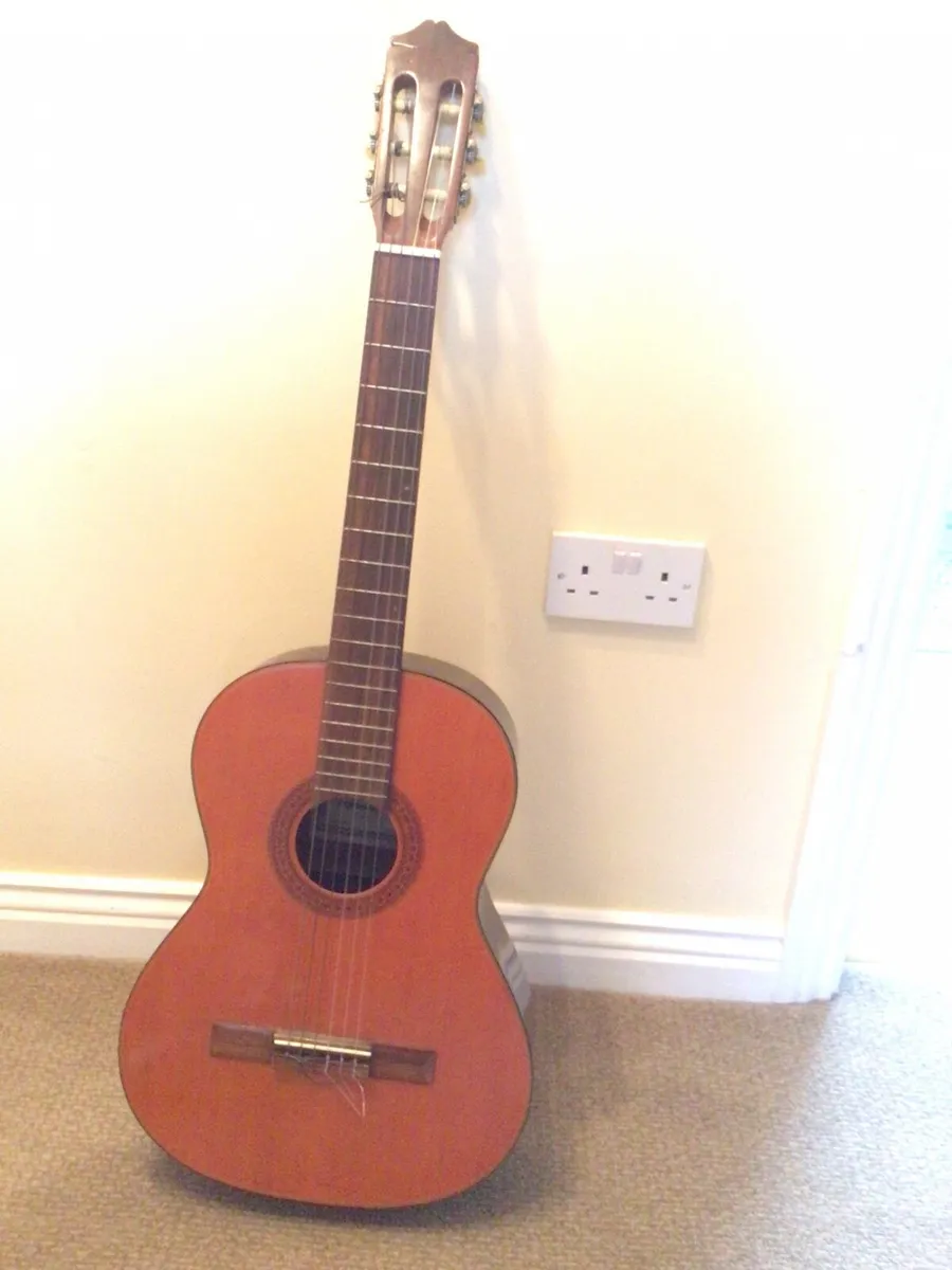 Acoustic guitar - Image 1