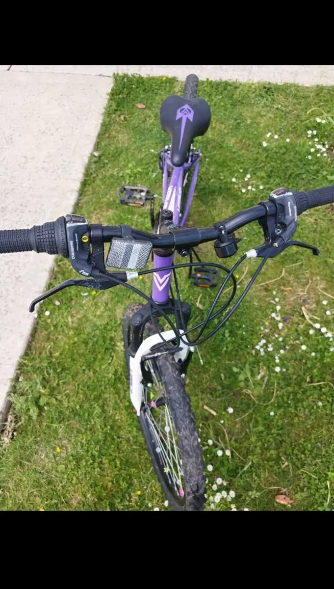 Girls Mountain Bike Verve Monaco 24 inch 18 speed - Image 3