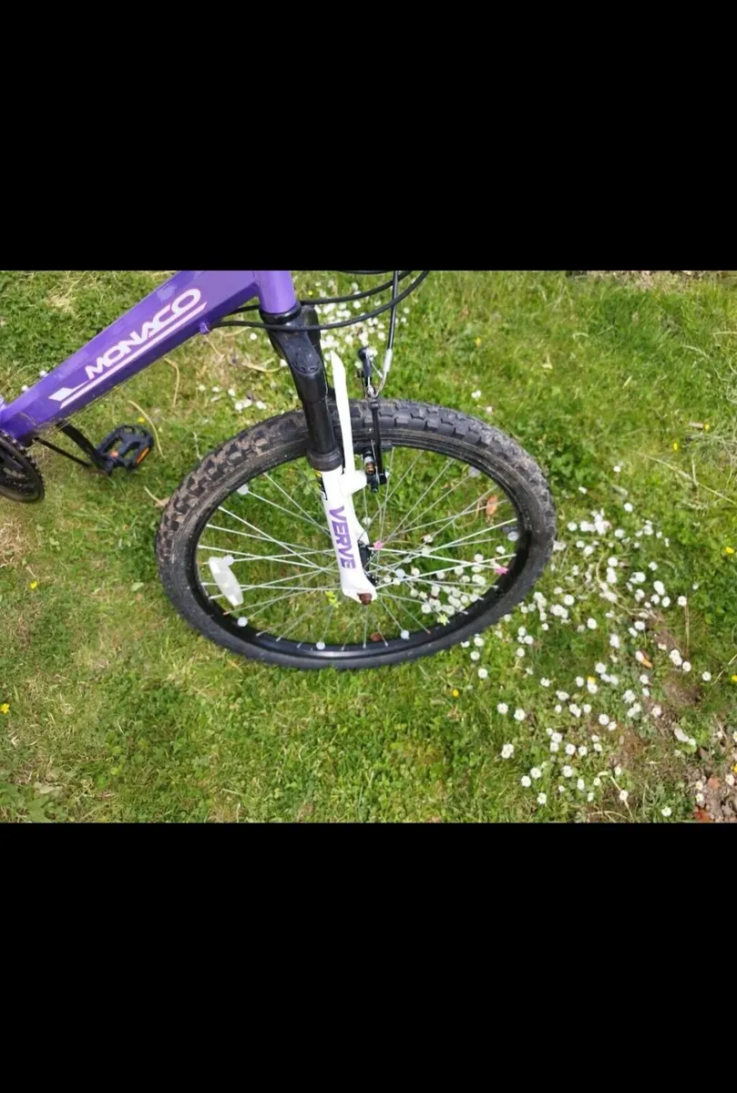 Girls Mountain Bike Verve Monaco 24 inch 18 speed - Image 4