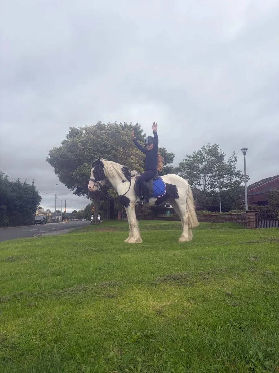Pony - Image 1
