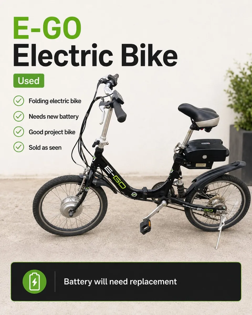 Viking E-Go 20” Folding Electric Bike - Image 1