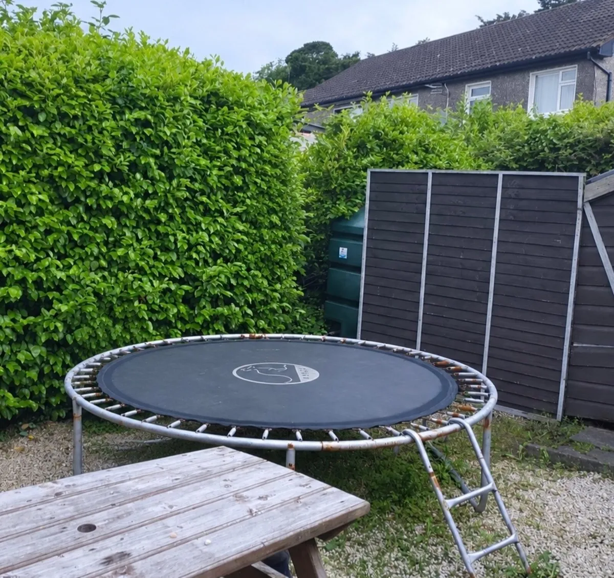 trampoline