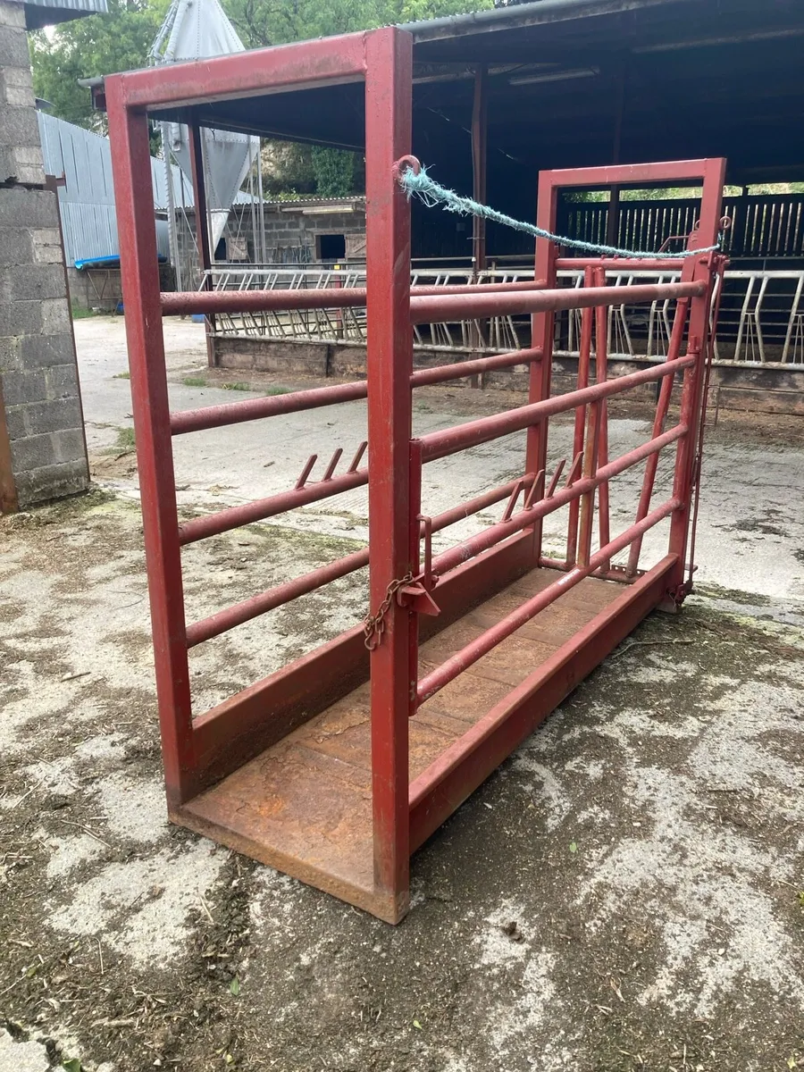 Mobile cattle crush - Image 1