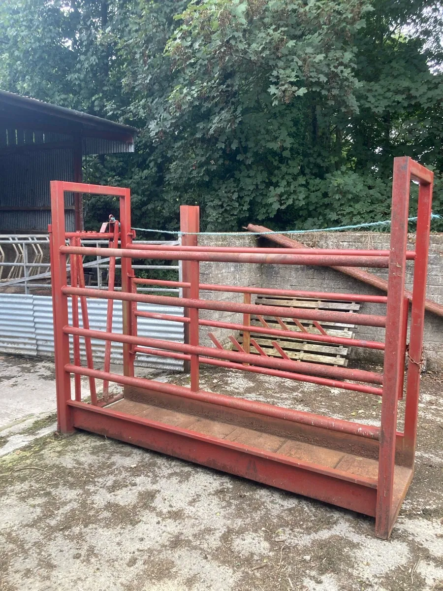 Mobile cattle crush - Image 2