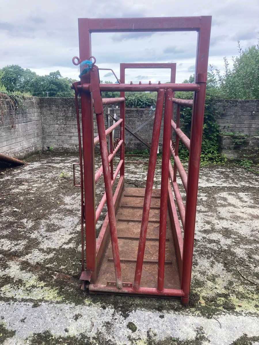 Mobile cattle crush - Image 3