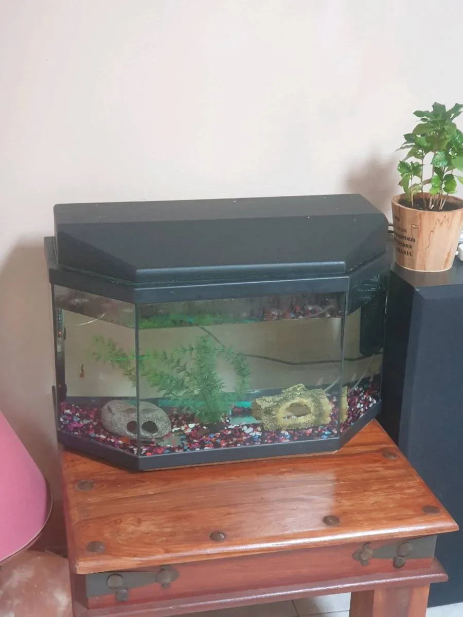 Fish tank - Image 2