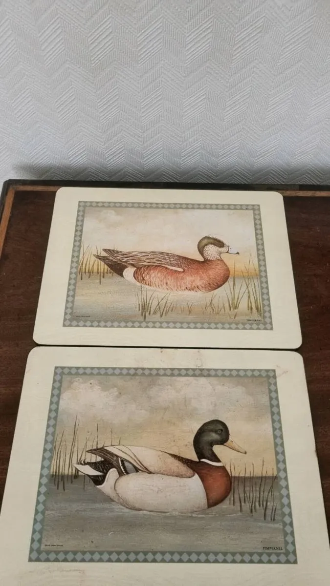 Pimpernel Placemat Set of 6 - Image 4