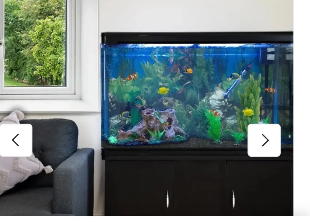 Aquarium - Image 2
