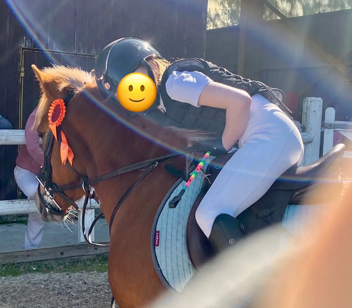 Pony - Image 4