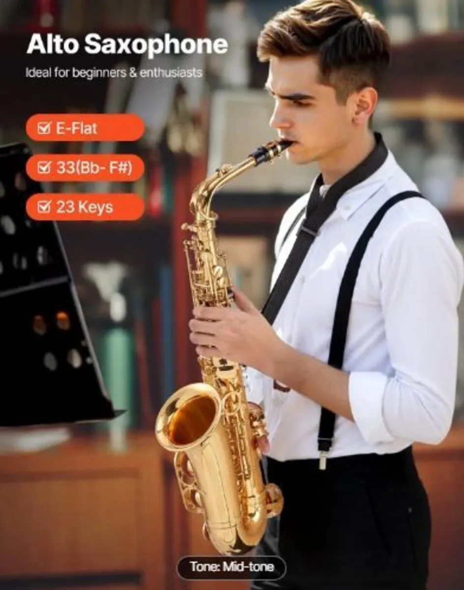 Alto Saxophone, E Flat, Brass Saxophone - Image 2