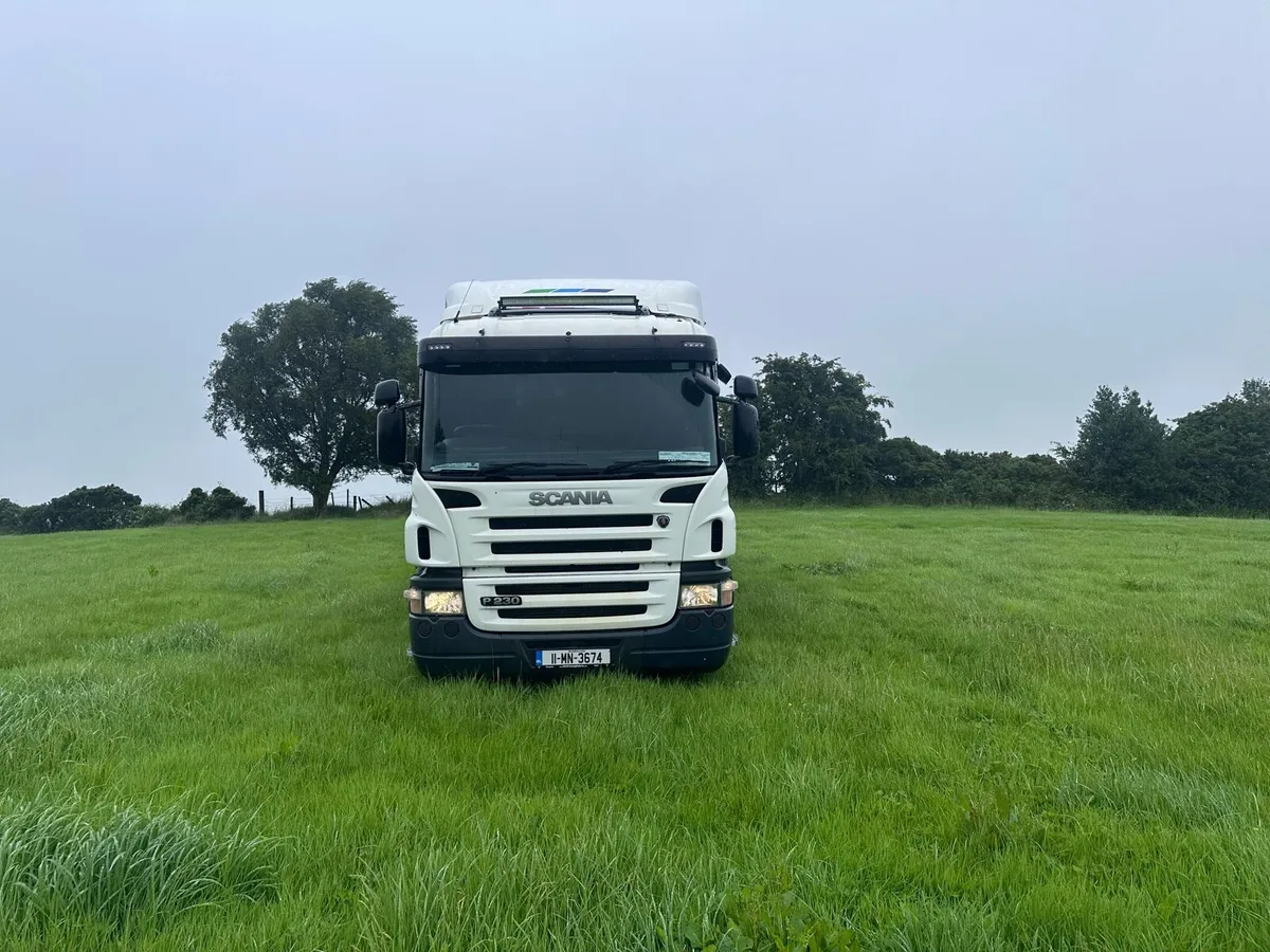 Scania P230 - Image 3