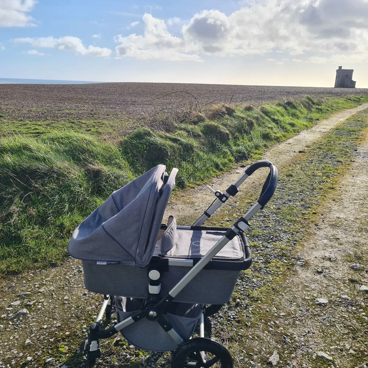 Bugaboo Cameleon 3 stroller/bassinett - Image 1