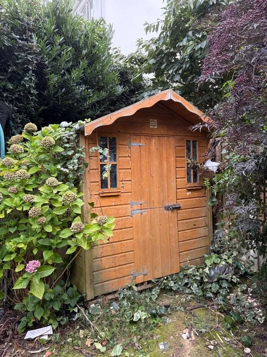 Shed 8ft x 6ft - Image 1