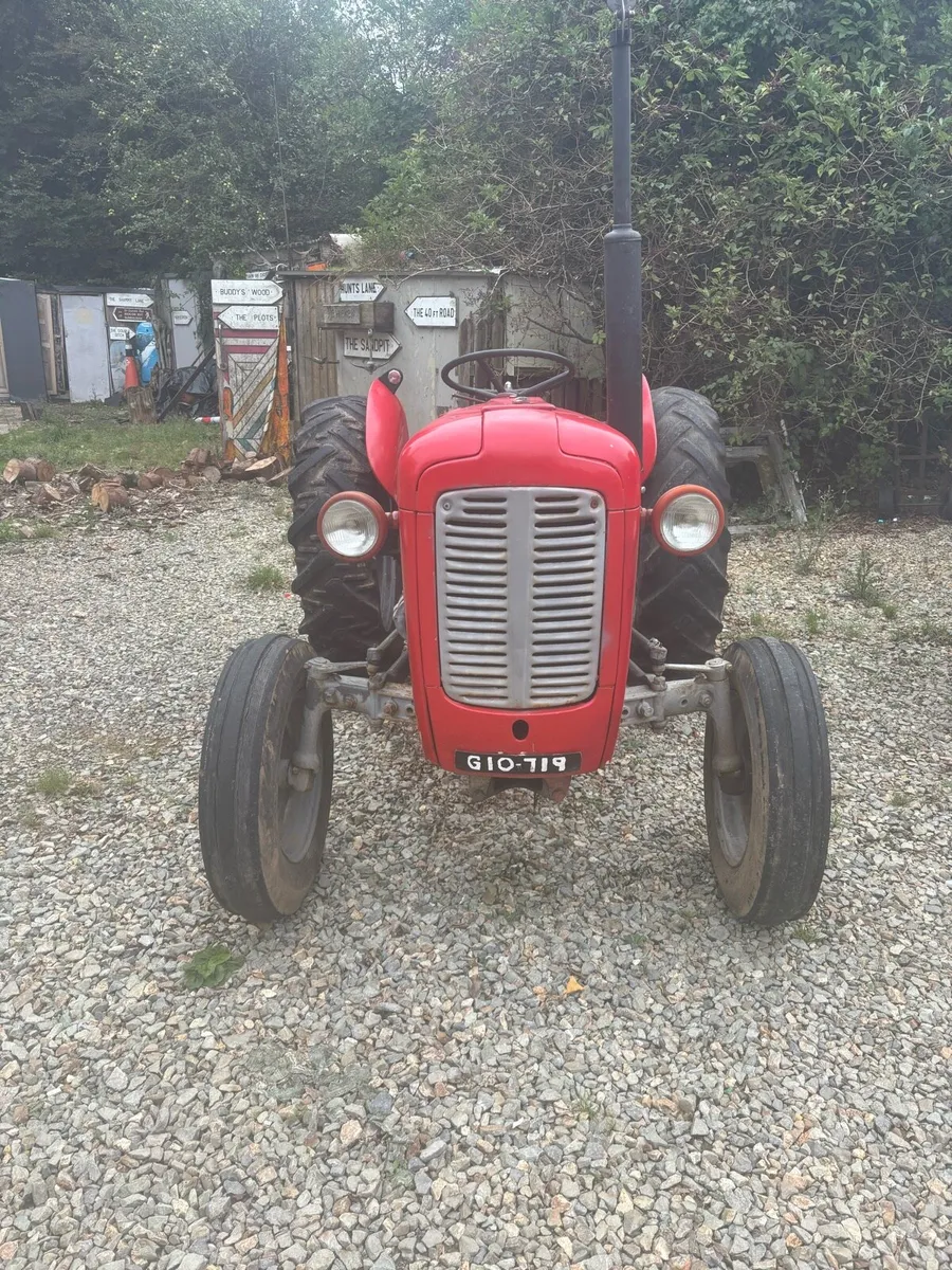 Massey Ferguson 35x - Image 3