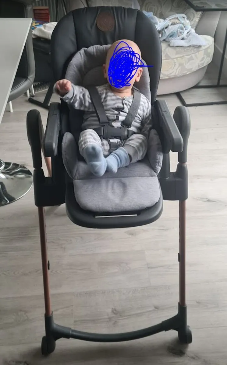 Maxi Cosy High Chair - Image 1
