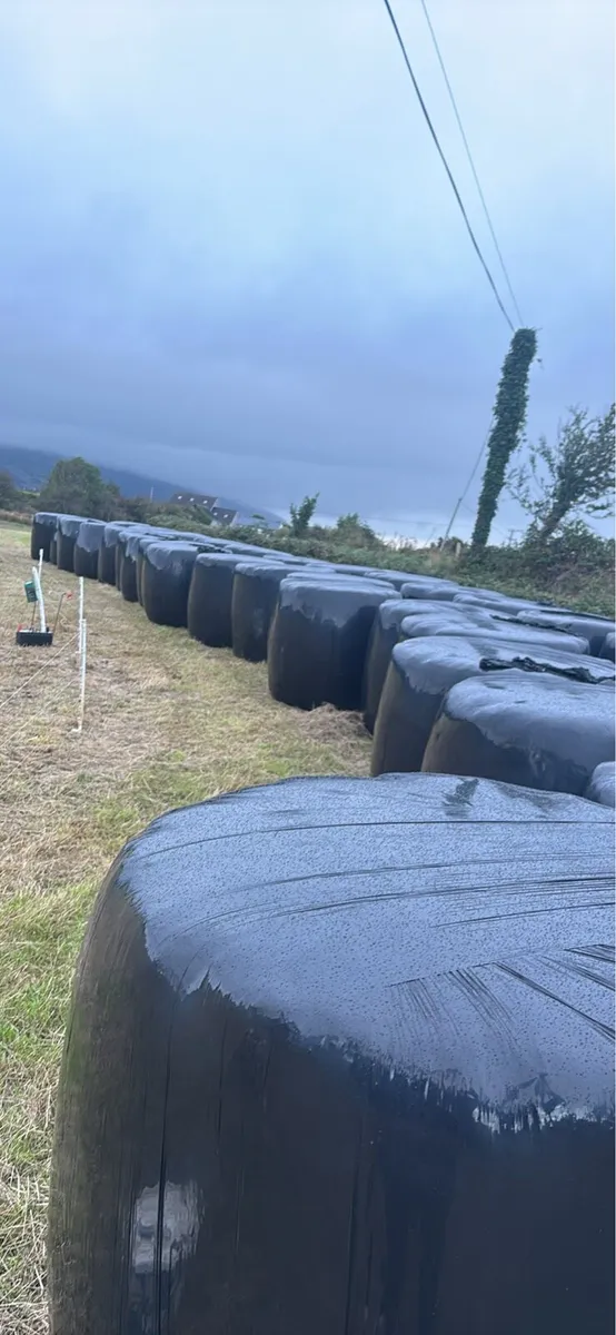 Silage