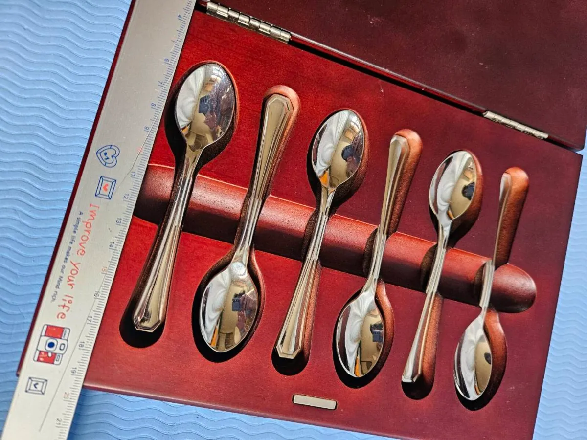 Cutlery Spoon Set with Unique Wooden Case - Image 1