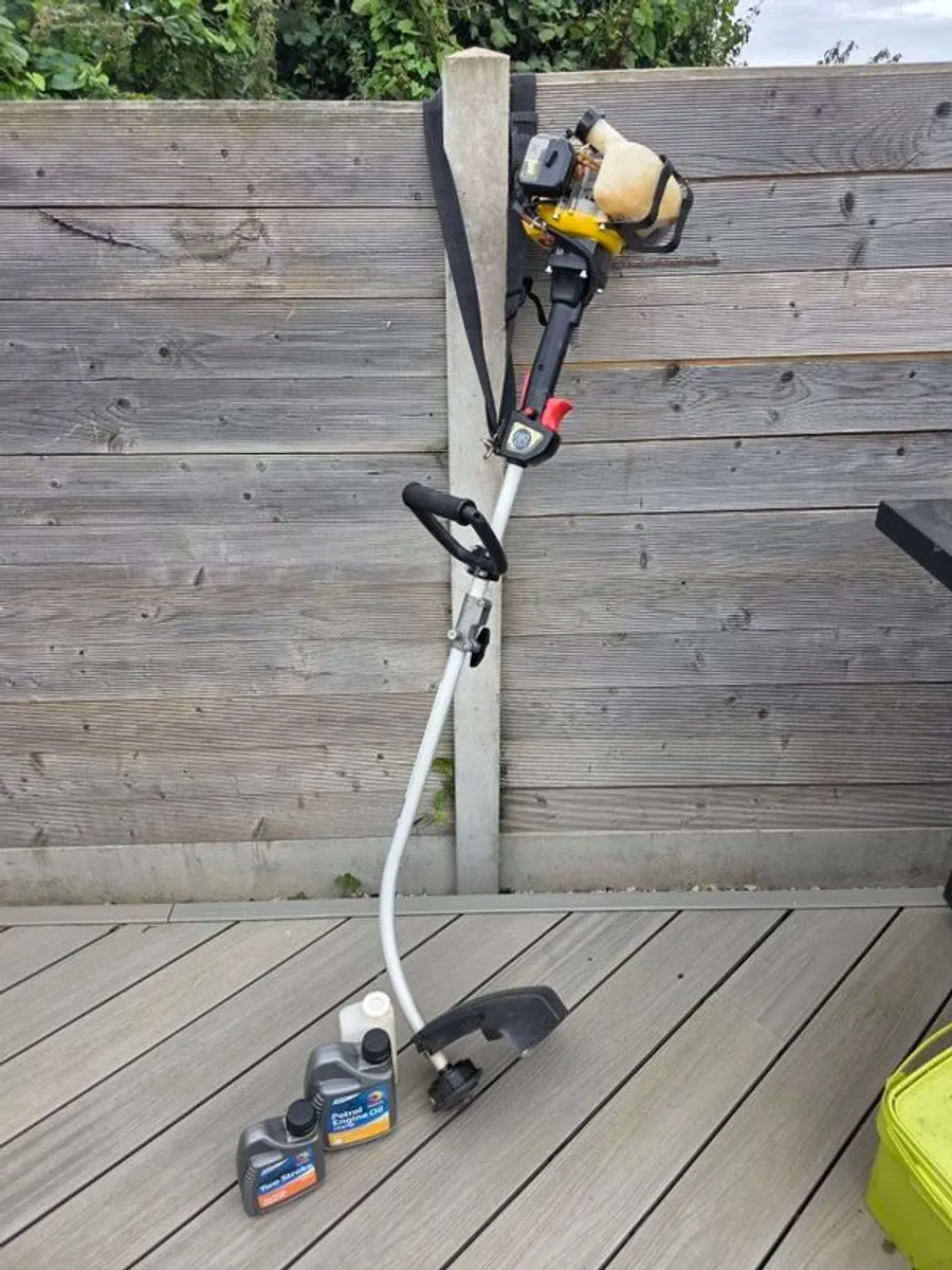 Petrol Strimmer - Image 1
