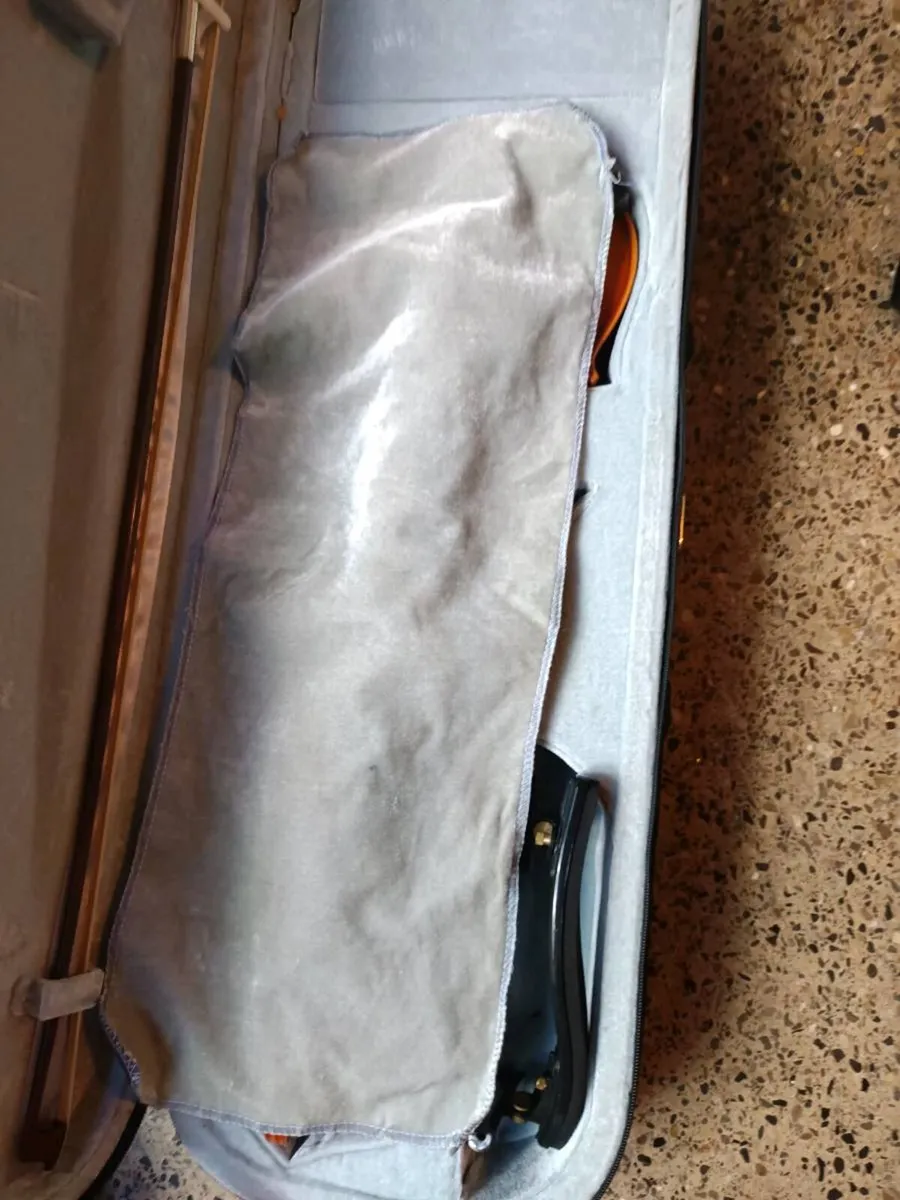 Violin - Image 3