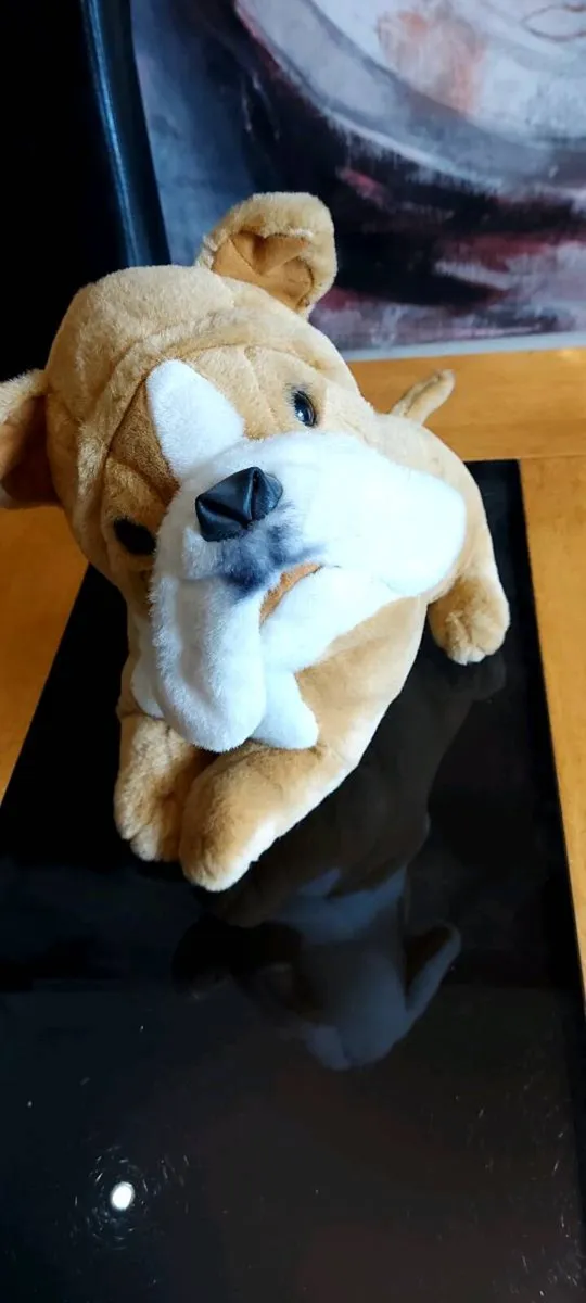 Soft Toy - Image 1