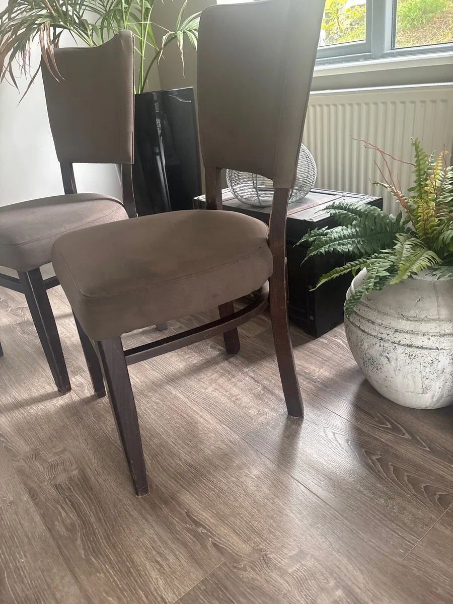 Dining chairs - Image 2