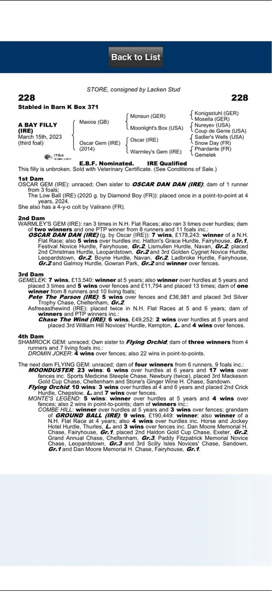 3 year old filly - Image 3