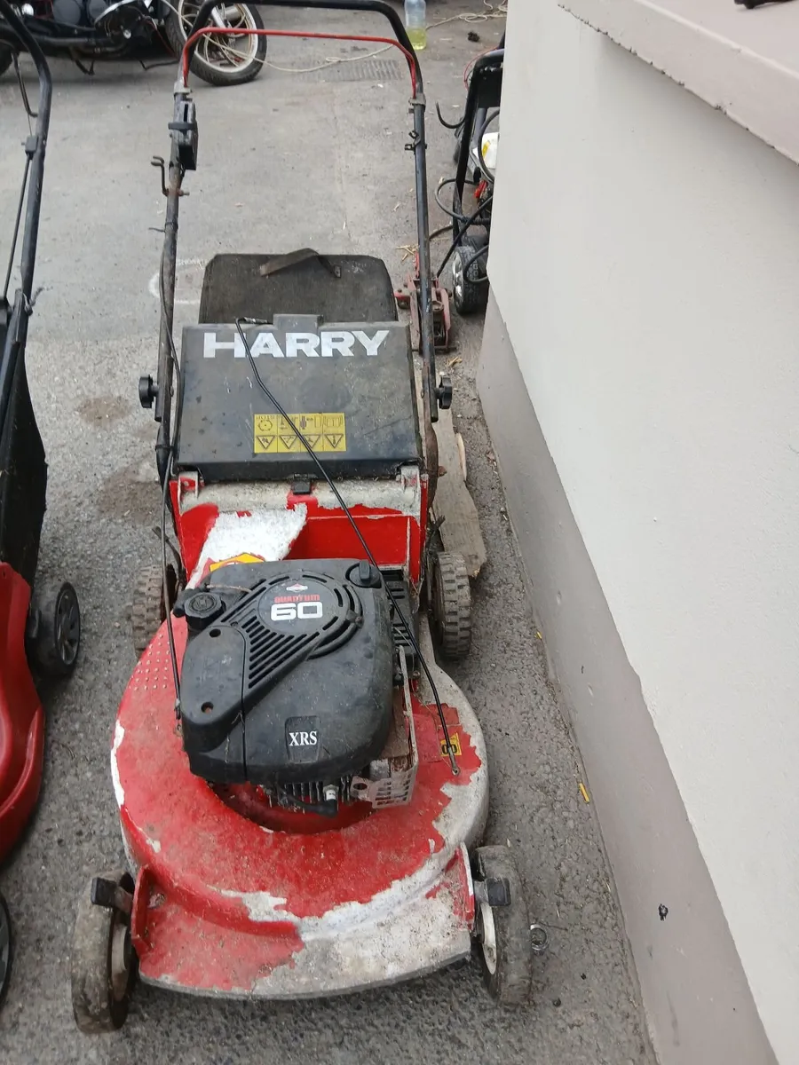 Harry lawnmower read about add priced - Image 2
