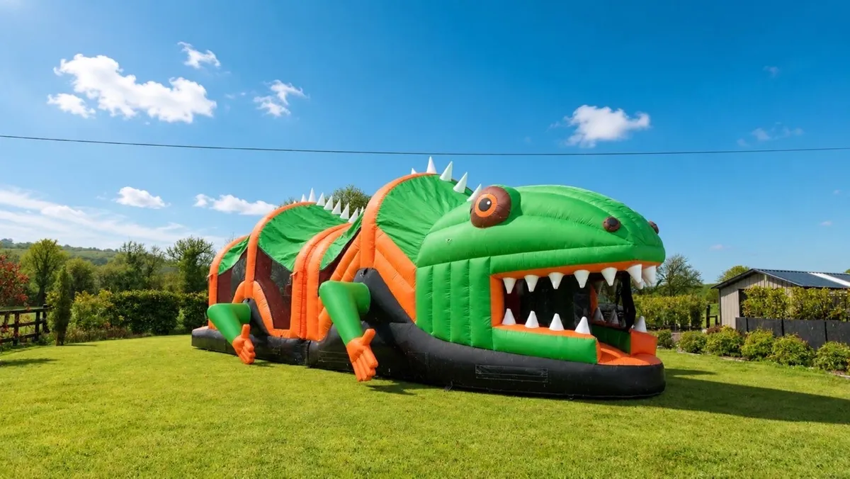 Bouncy Castle - Image 4