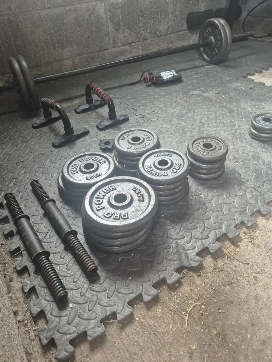 Weights - Image 2