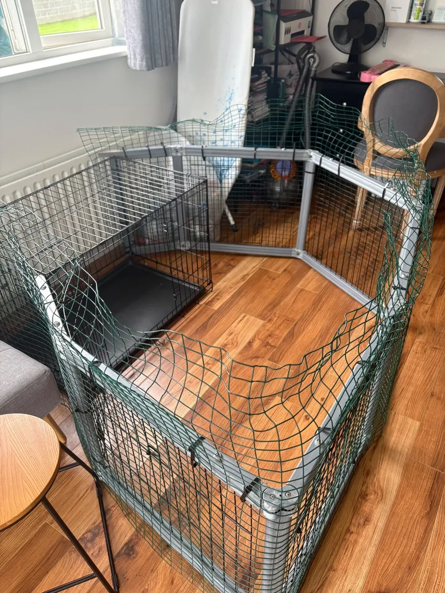 Dog crate and run - Image 1