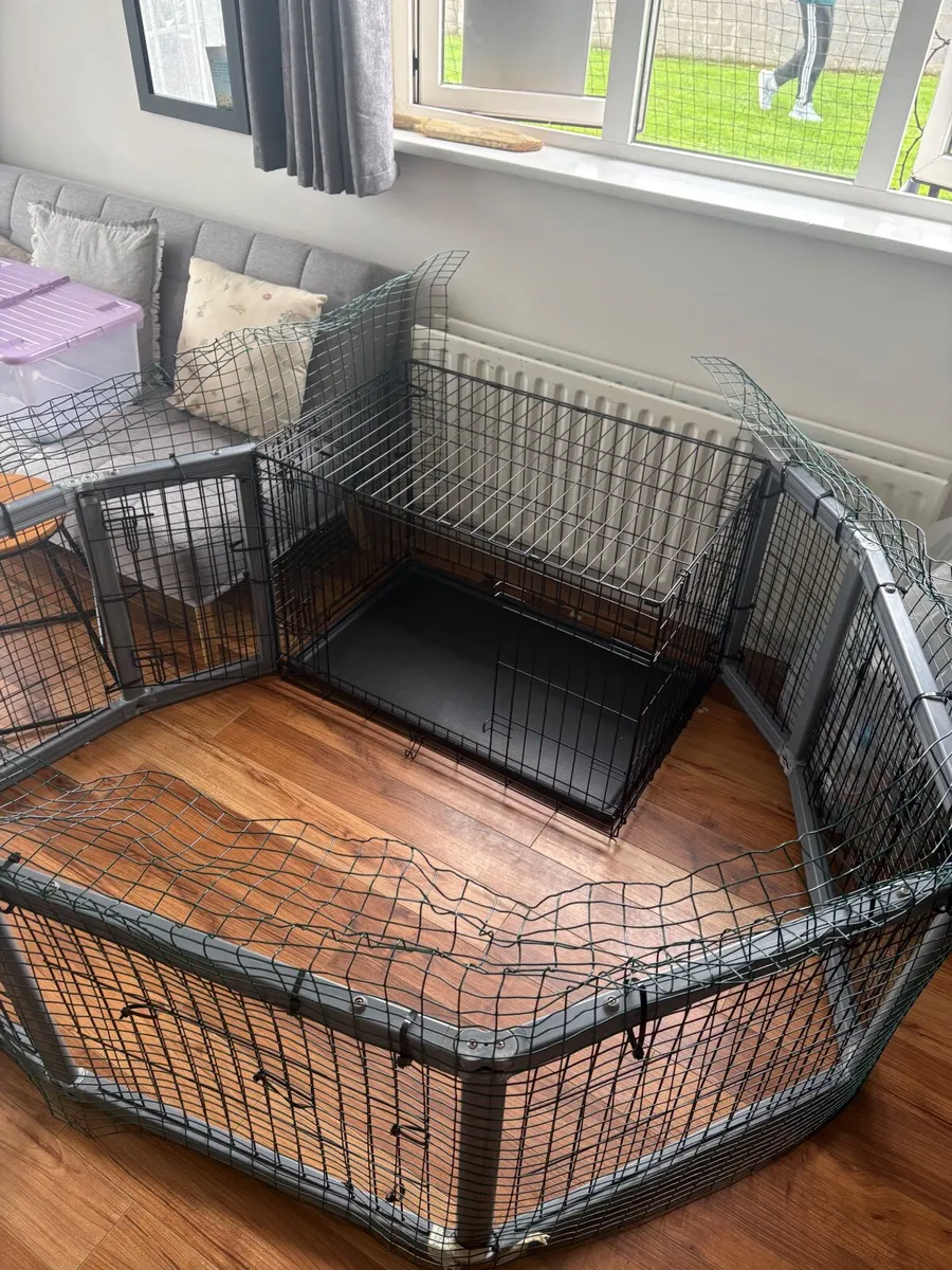 Dog crate and run - Image 2
