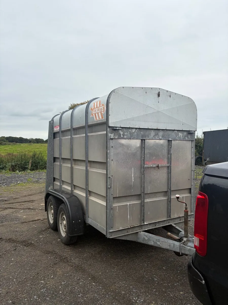 Aerlite cow box - Image 3