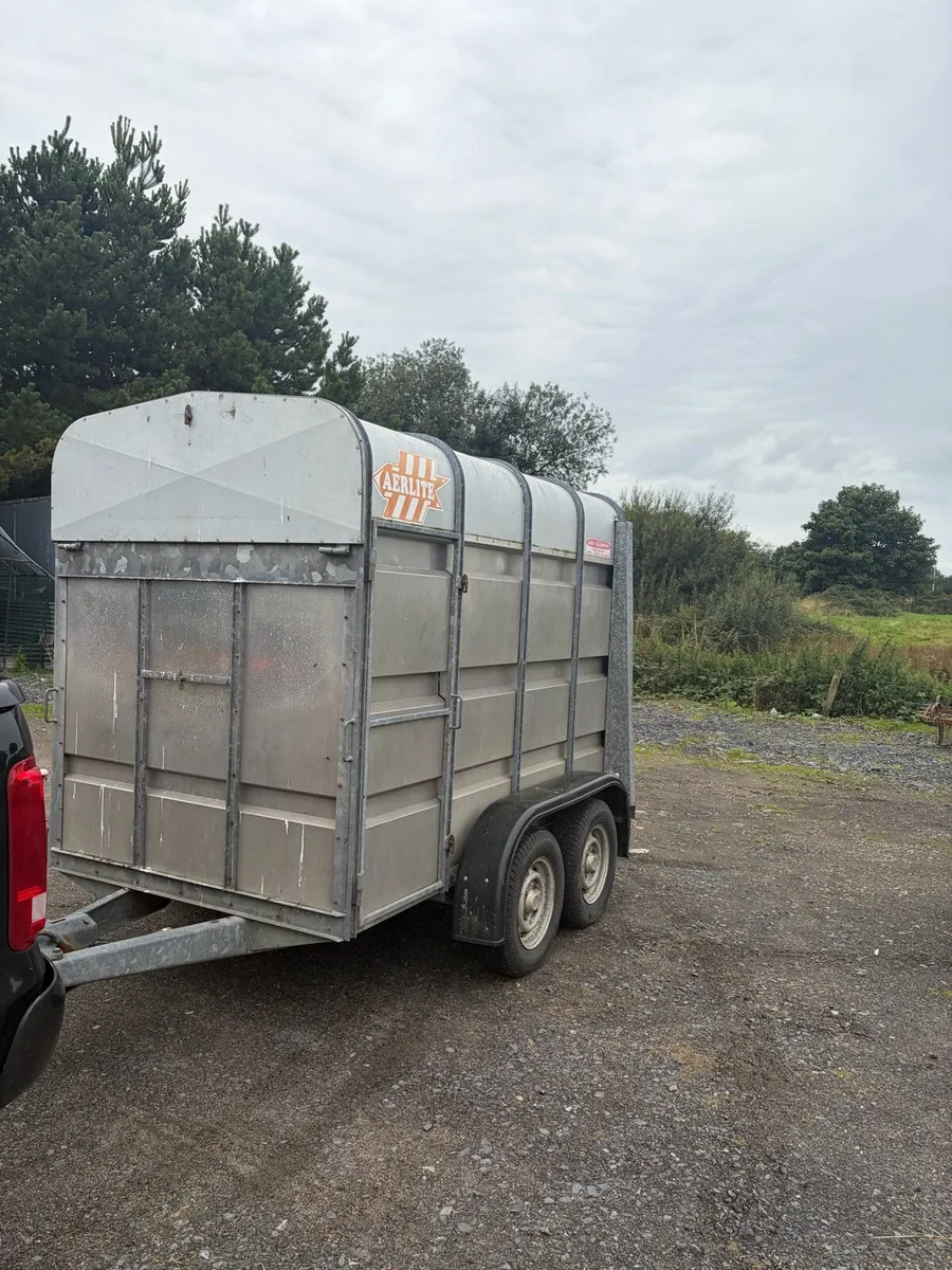 Aerlite cow box - Image 2