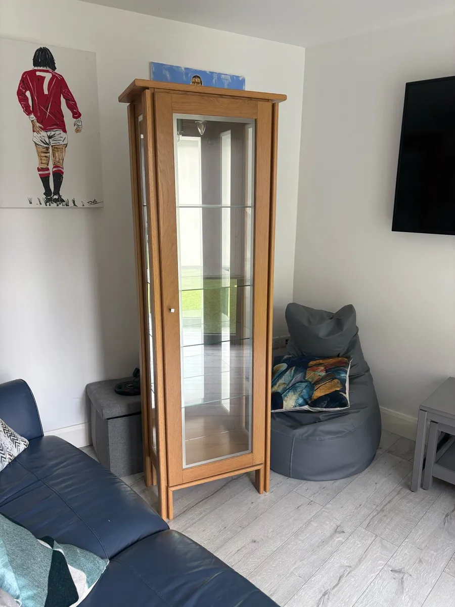 Tall Cabinet - Image 1