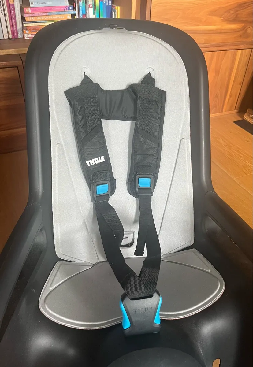 Thule RideAlong Child Bike Seat - Image 2