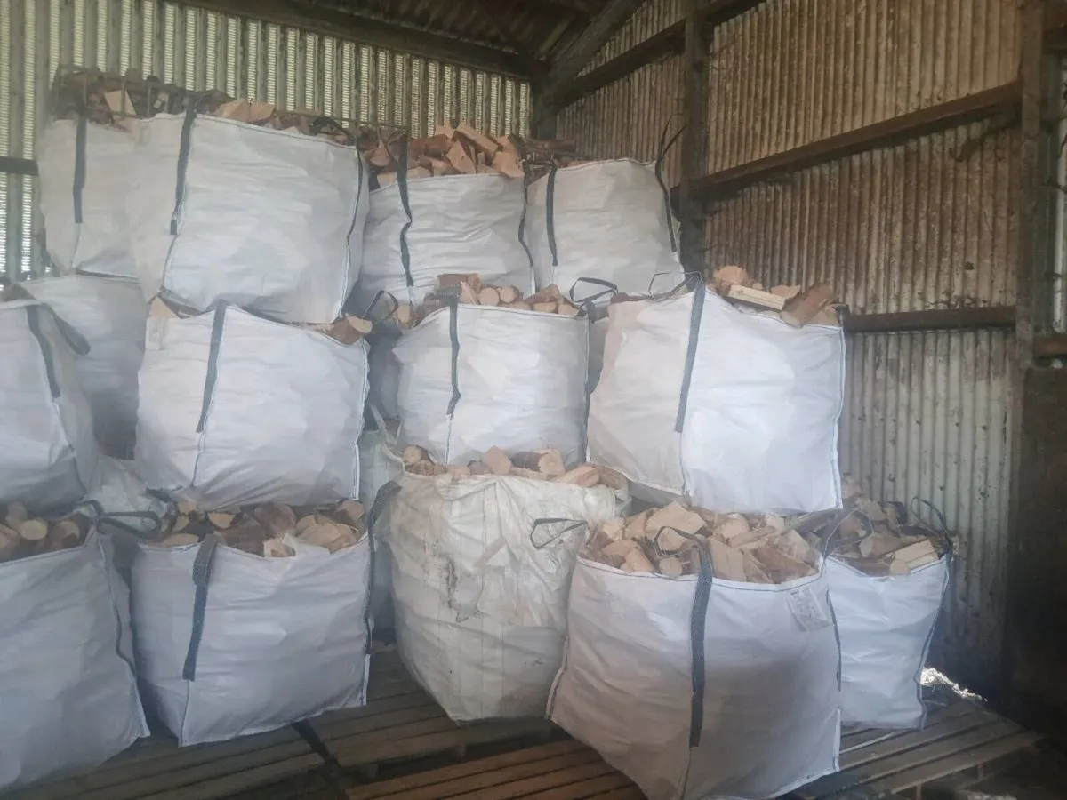 firewood - Image 1