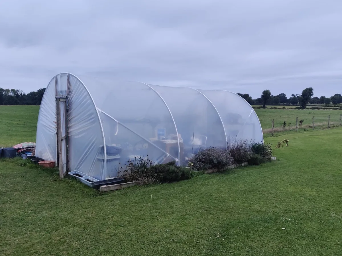 Large Polytunnel / Greenhouse - Image 2