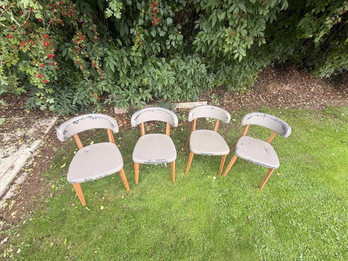 Dining chairs - Image 1