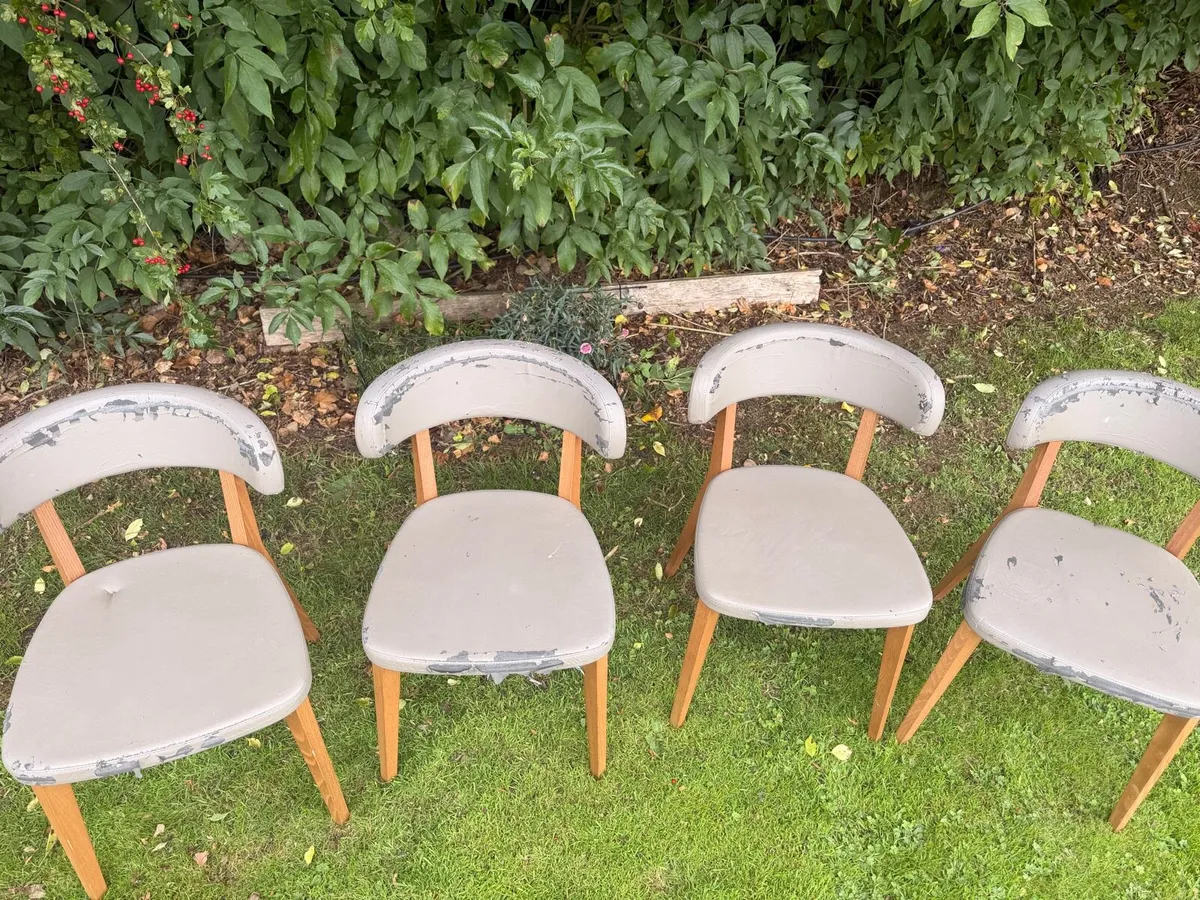 Dining chairs - Image 2