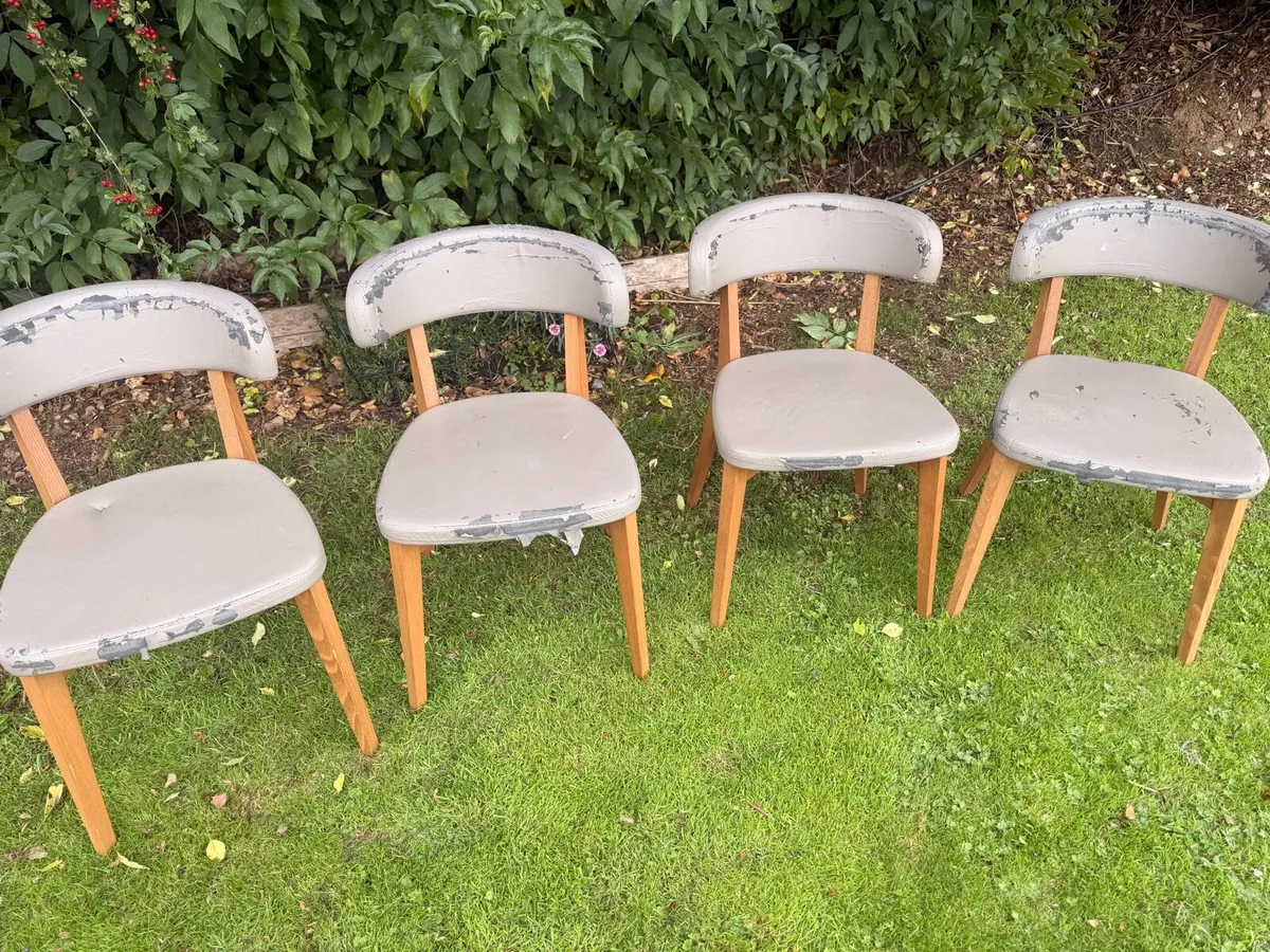 Dining chairs - Image 3
