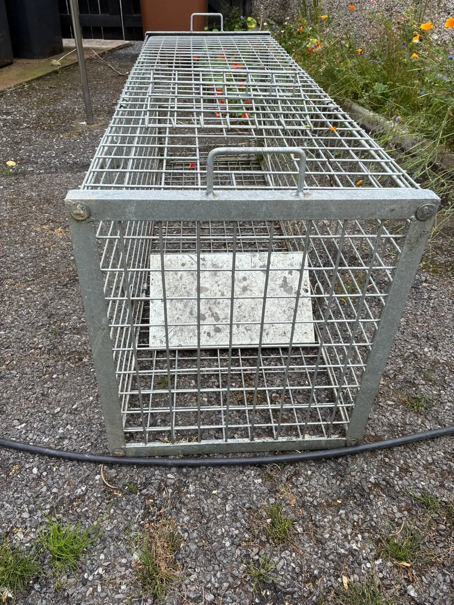 Fox cage trap - Image 1
