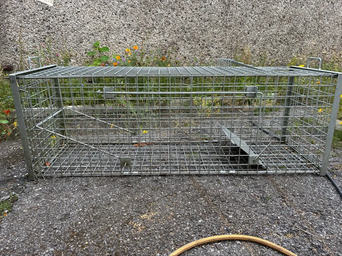 Fox cage trap - Image 2