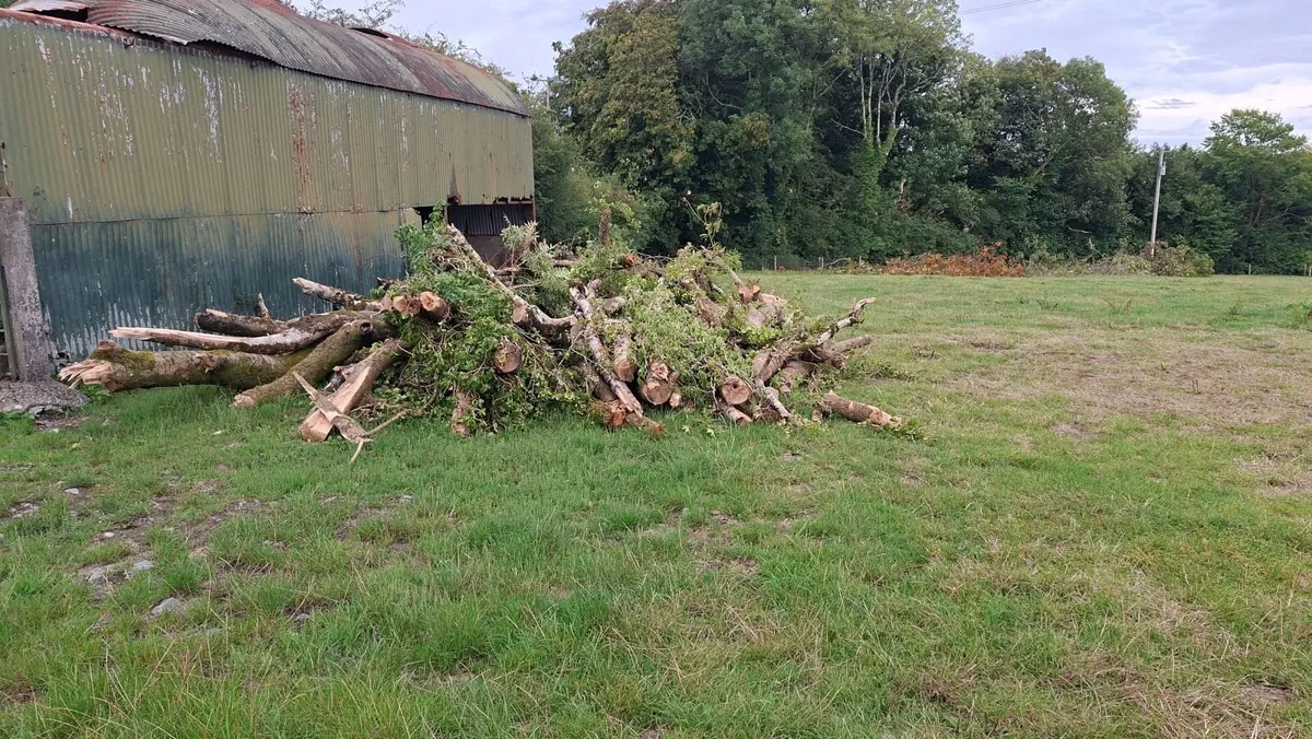 Timber