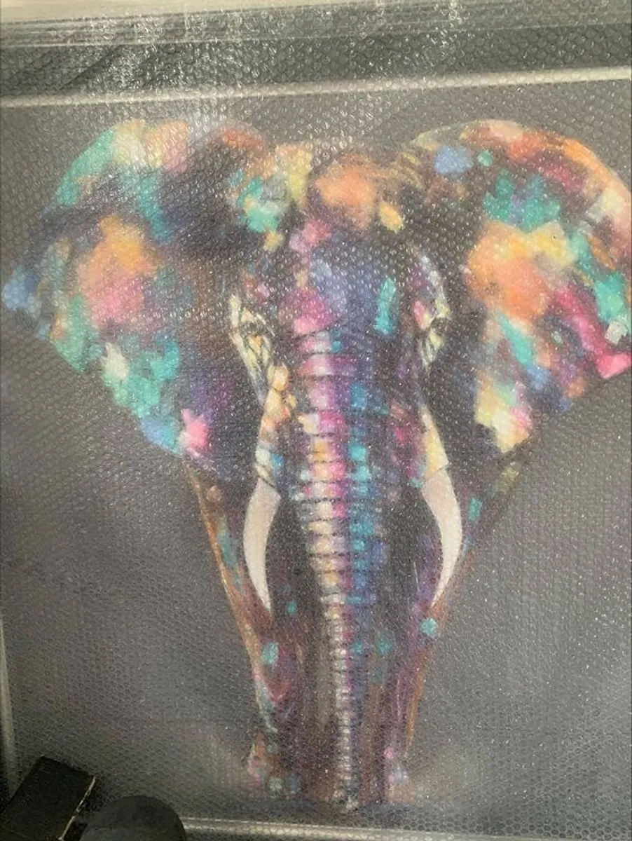 Louise Luton Elephant Photo 40in  40in (New) - Image 4