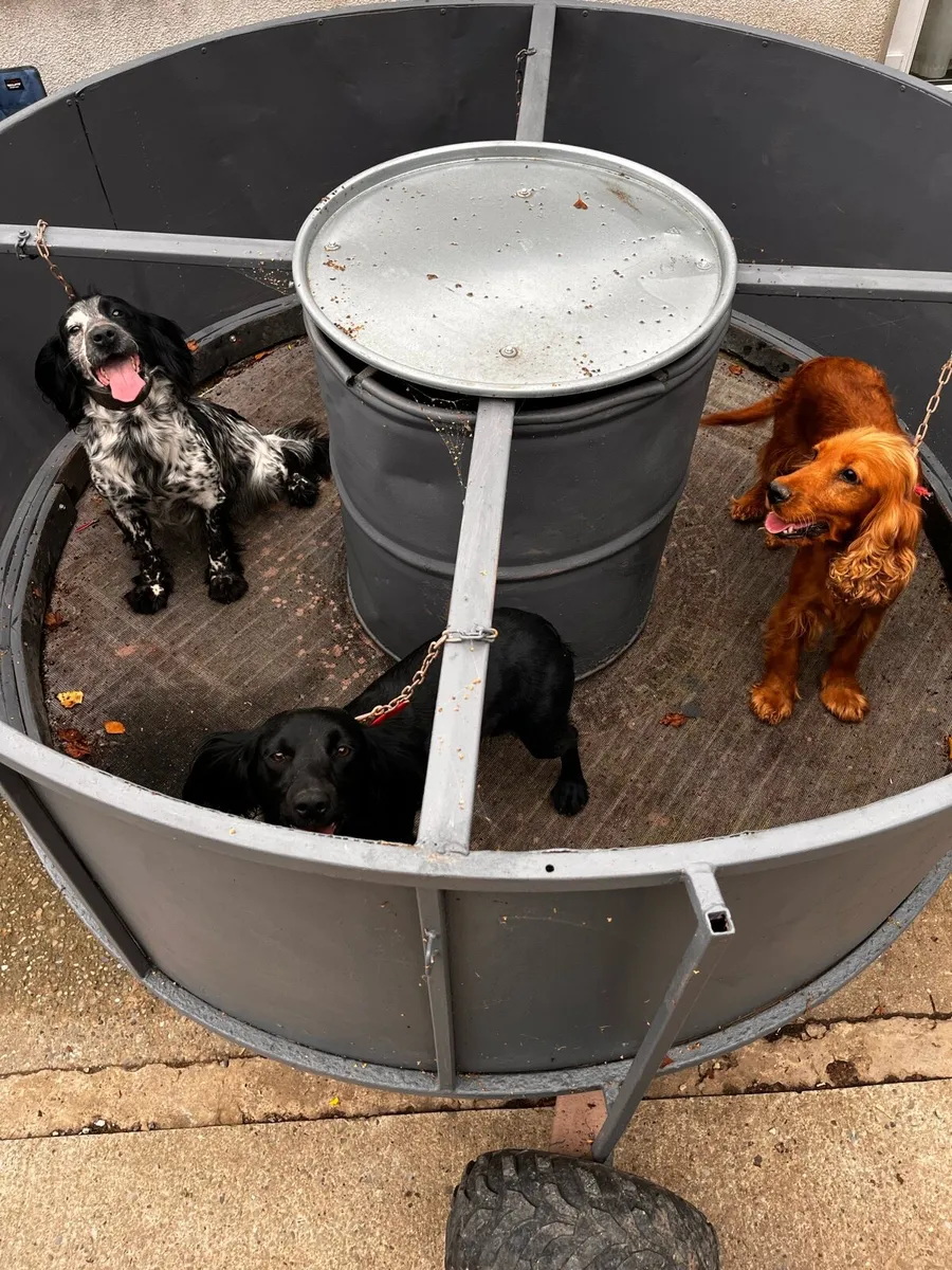 Dog treadmill - Image 4