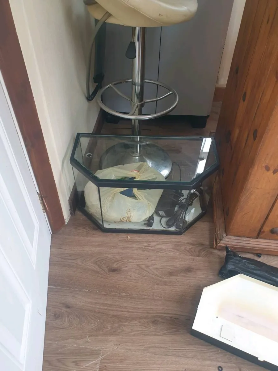 Fish tank - Image 4