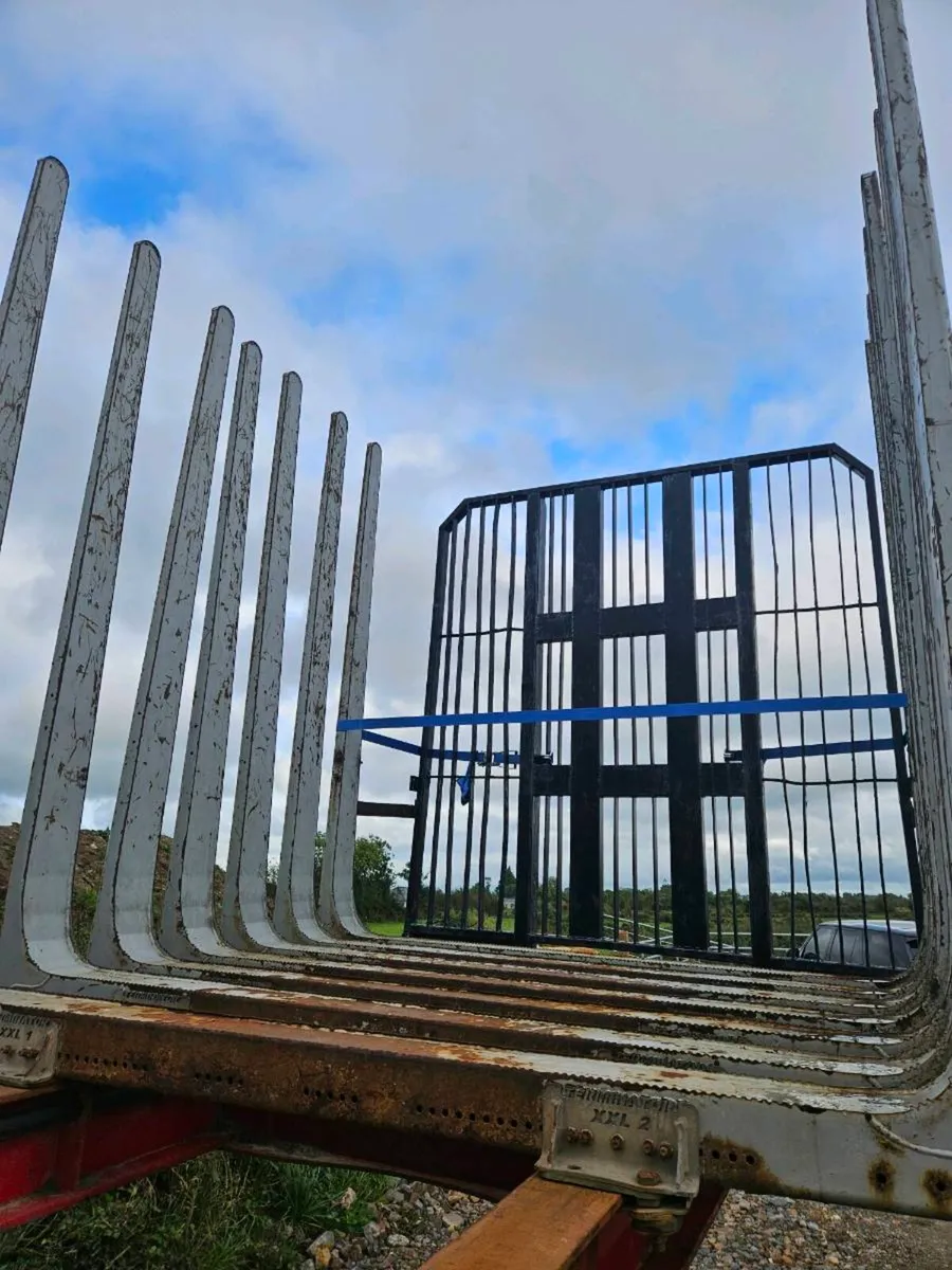Sdc timber trailer 2016 - Image 3