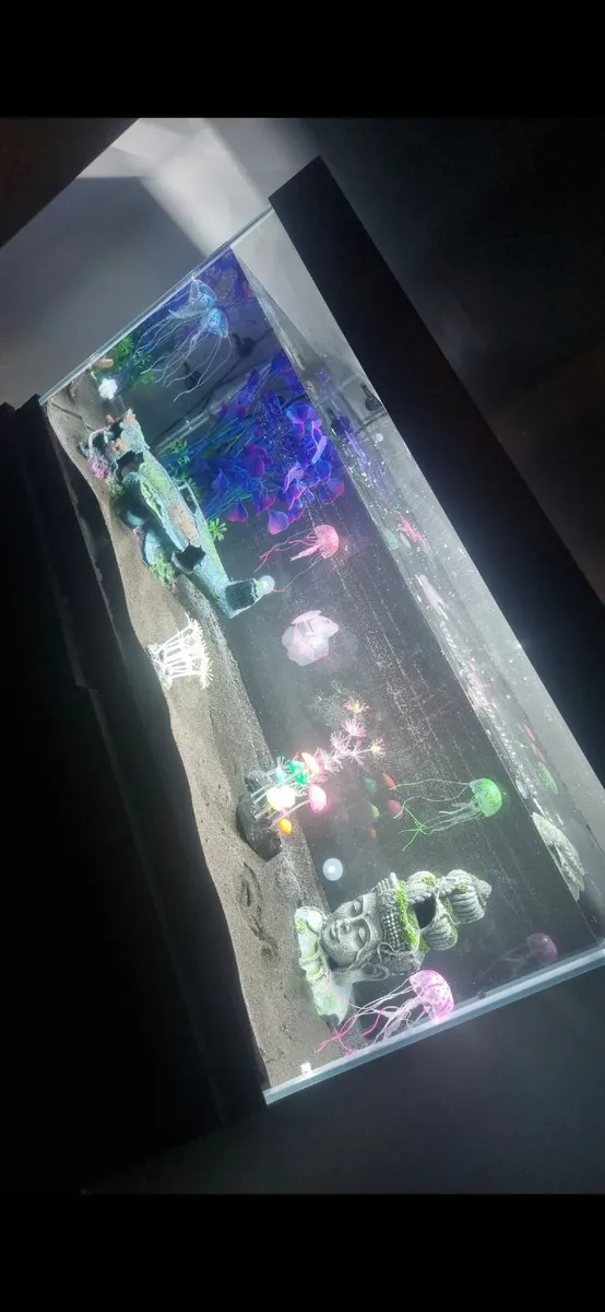 Fish tank - Image 1